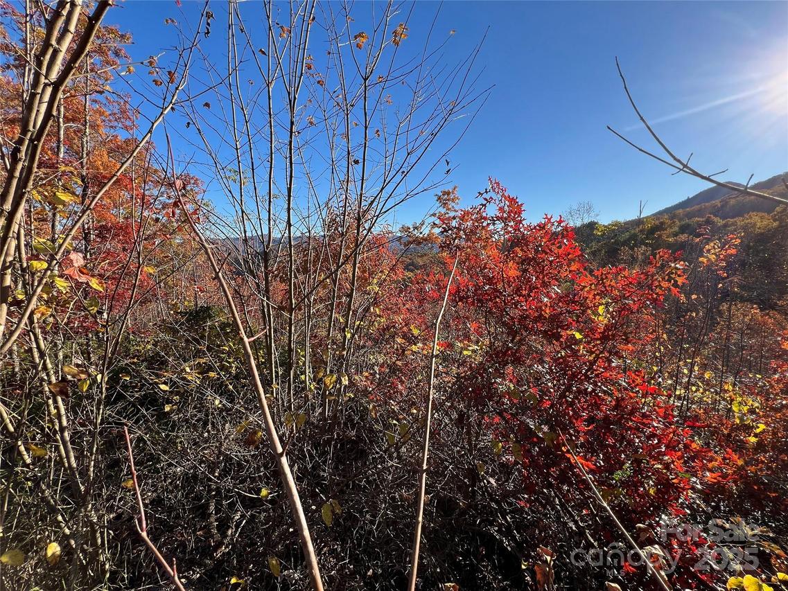 Lot 66 Musket Rd., Almond, NC 28702