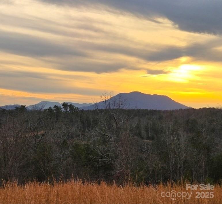 Lot #1 Price Summit Way, Mill Spring, NC 28756