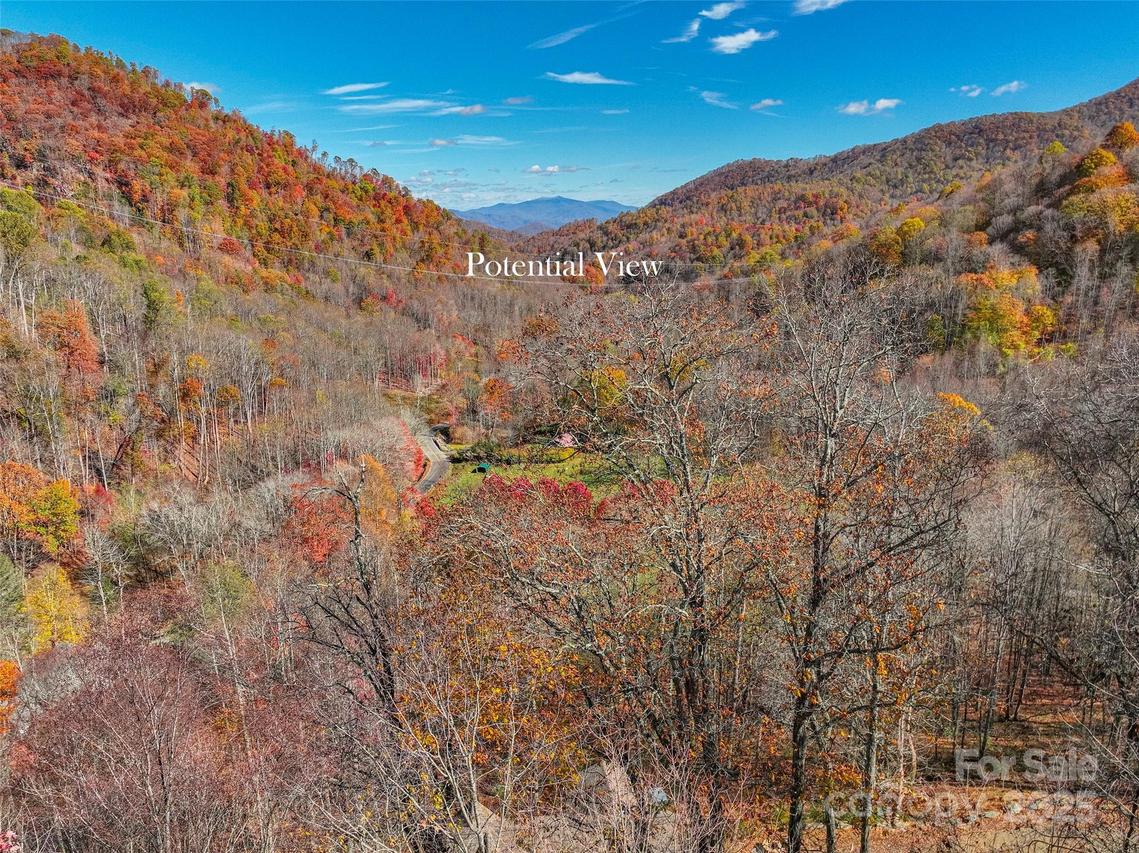 000 Pearl Way #12, Burnsville, NC 28714