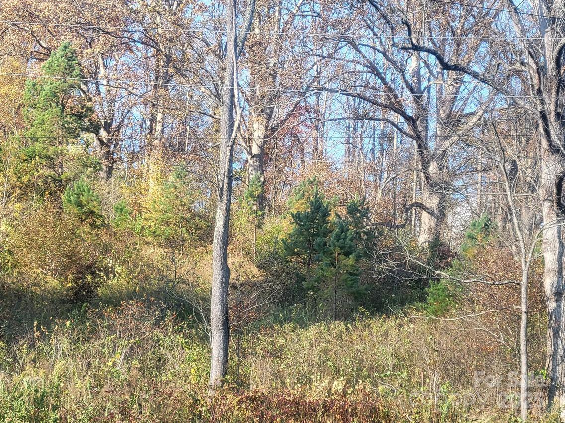 00 Kirkpatrick Cove, Clyde, NC 28721