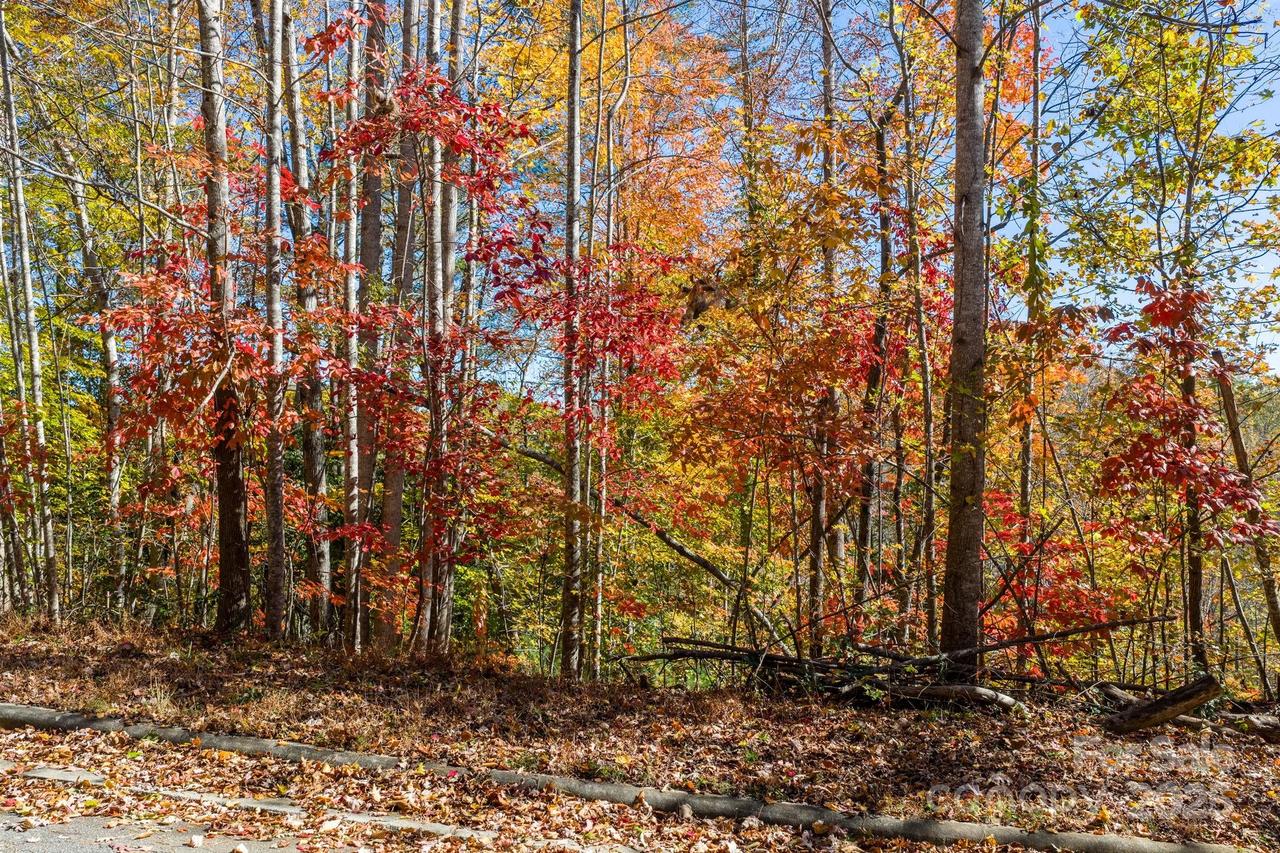 528 Park Way, Lenoir, NC 28645