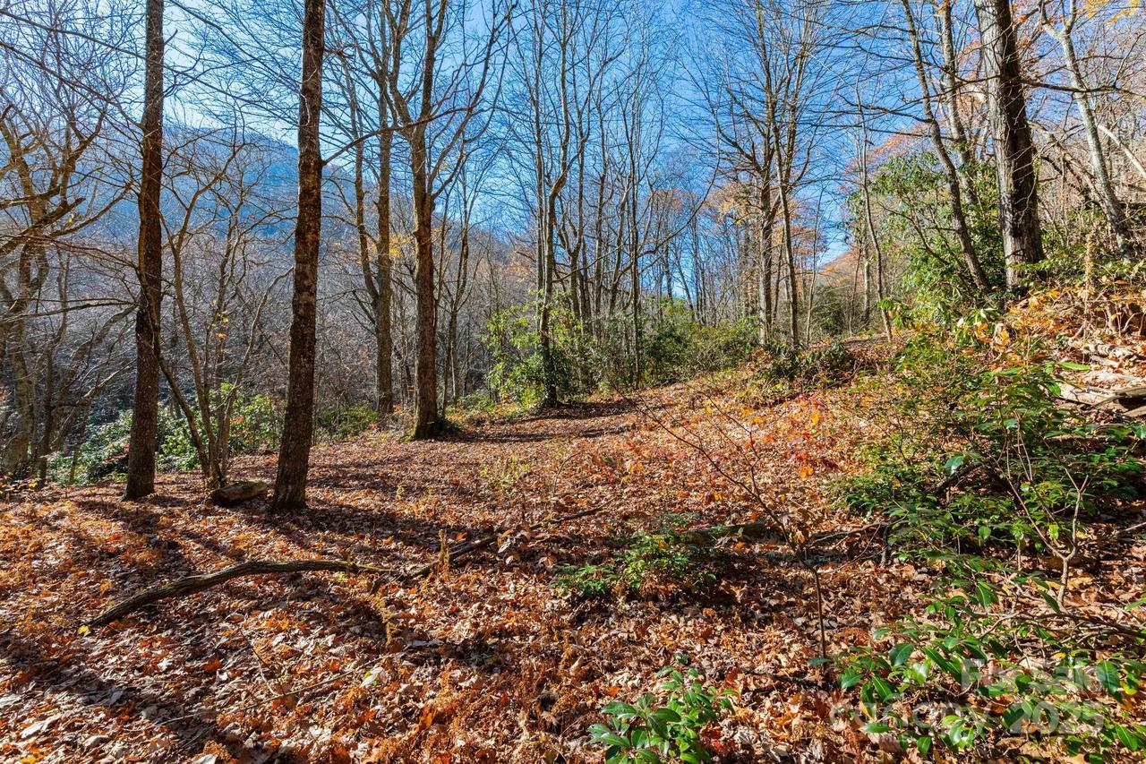 Lot Huckleberry Dr. #24, Maggie Valley, NC 28751