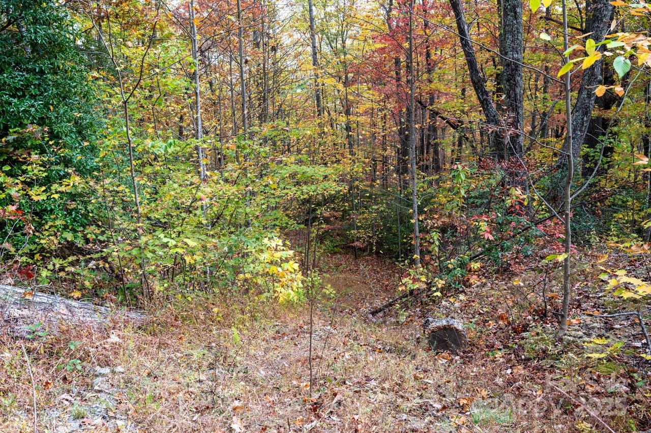 4B Lower Flat Creek Rd., Black Mountain, NC 28711