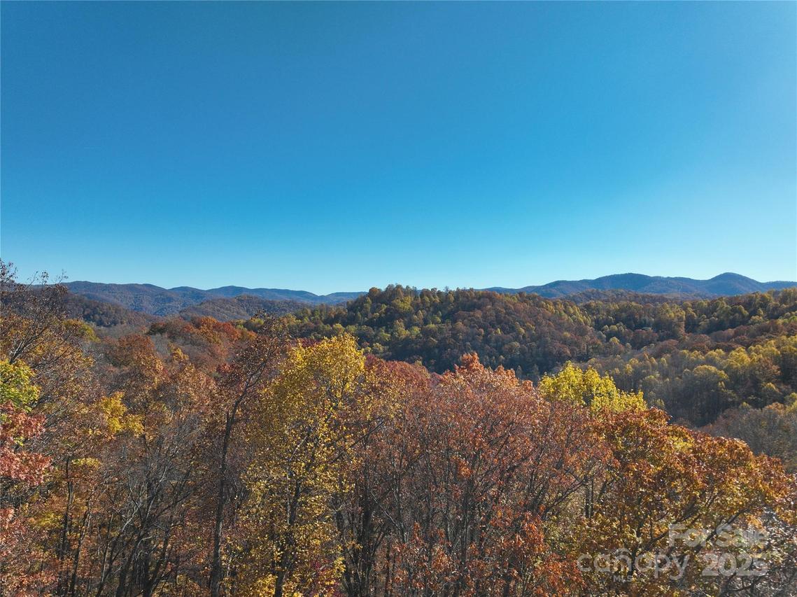890 Panther Branch Rd., Hot Springs, NC 28743