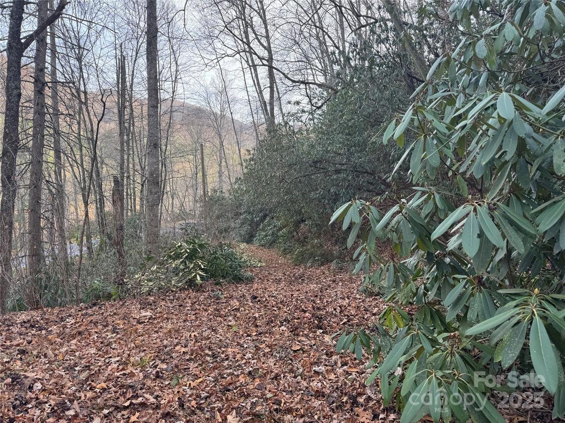 2664 Nc Hwy 9 Hwy., Black Mountain, NC 28711