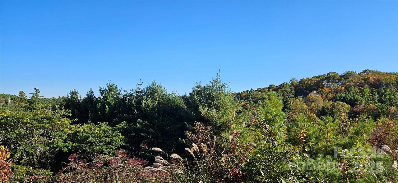 Clarktown Rd., Newland, NC 28657