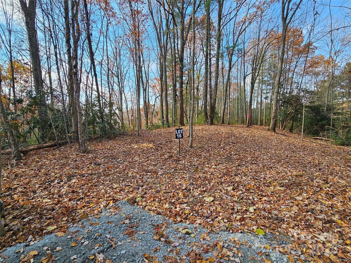 9999-16 Bob Barnwell Rd., Asheville, NC 28803