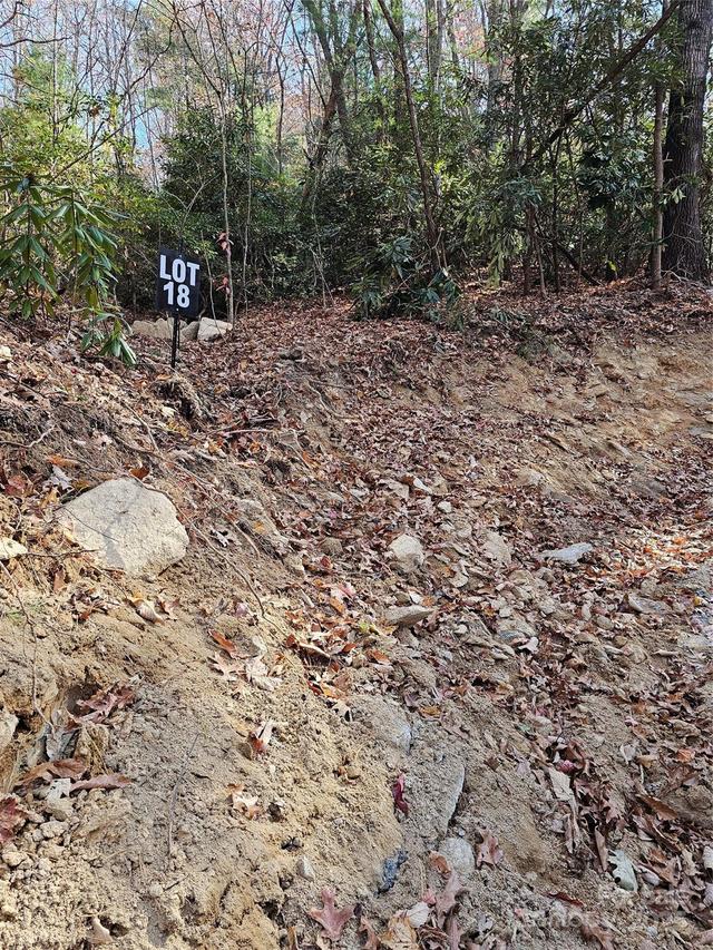 9999-18 Bob Barnwell Rd., Asheville, NC 28803