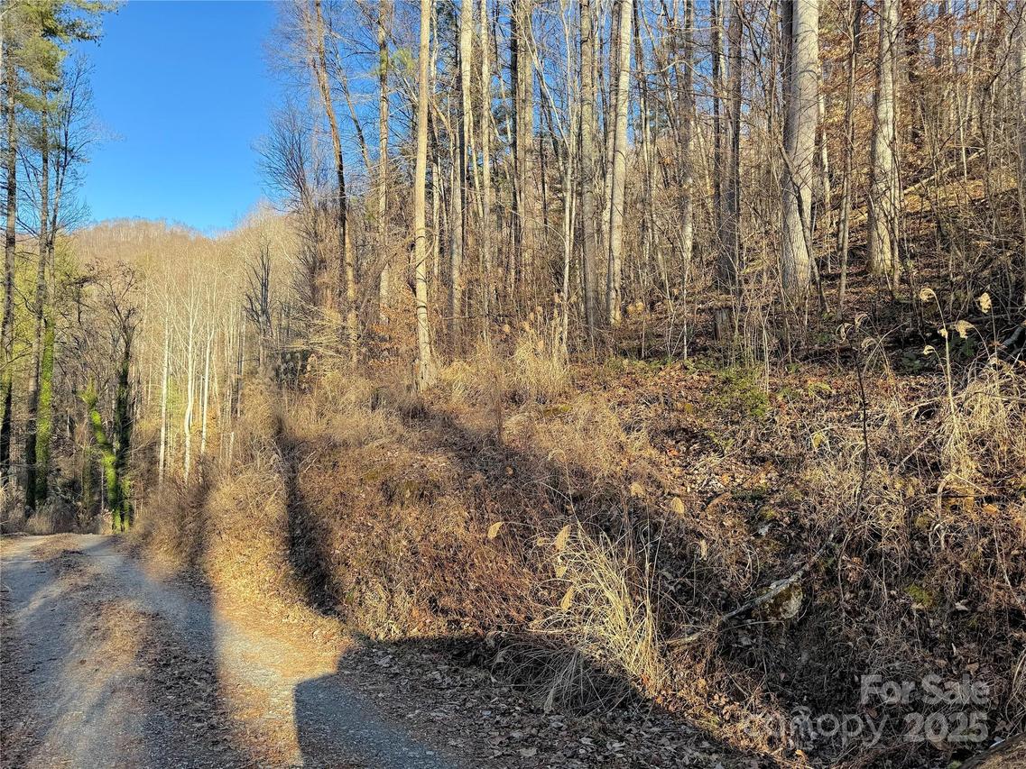 TBD Timberside Dr., Mars Hill, NC 28754