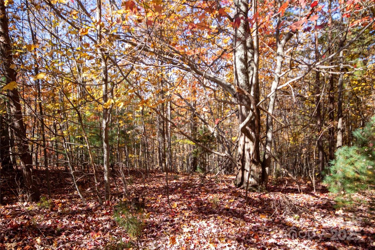 Lot# 4 Peregrine Ter. #4, Lenoir, NC 28645