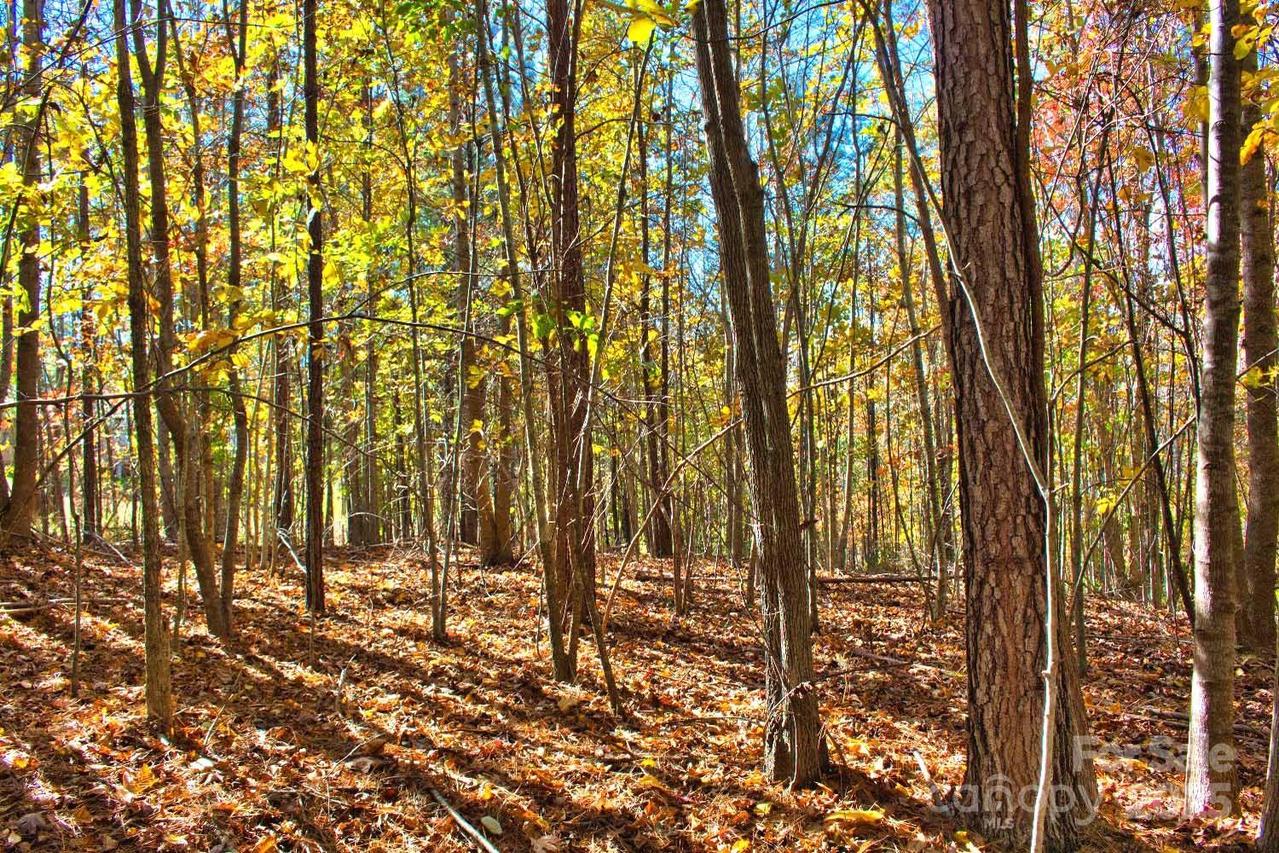 Creekside Cir. #113, Rutherfordton, NC 28139