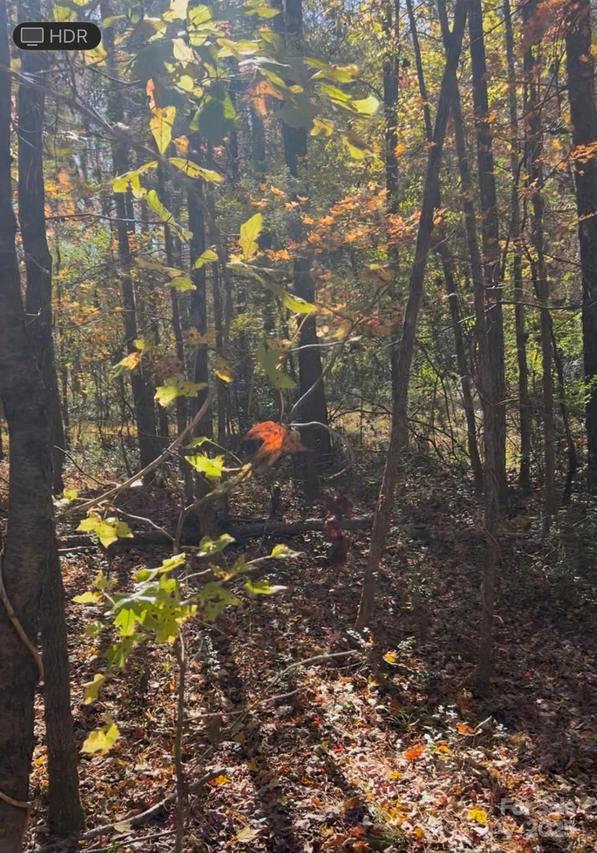 Snuggs Park Rd., Albemarle, NC 28001