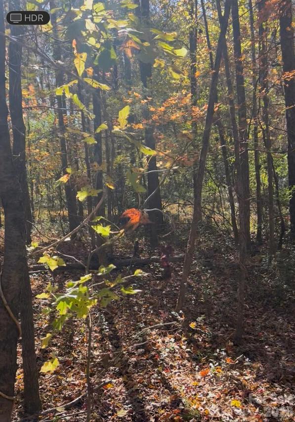 Snuggs Park Rd., Albemarle, NC 28001