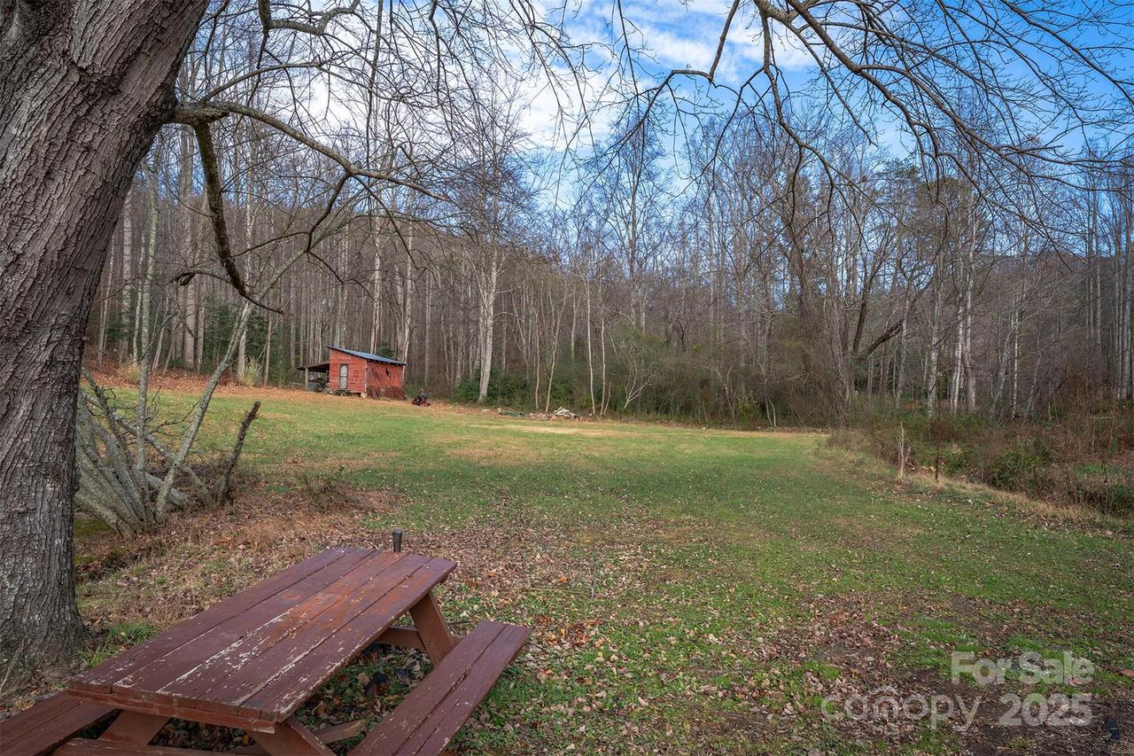 99999 Walker Cove Rd., Black Mountain, NC 28711
