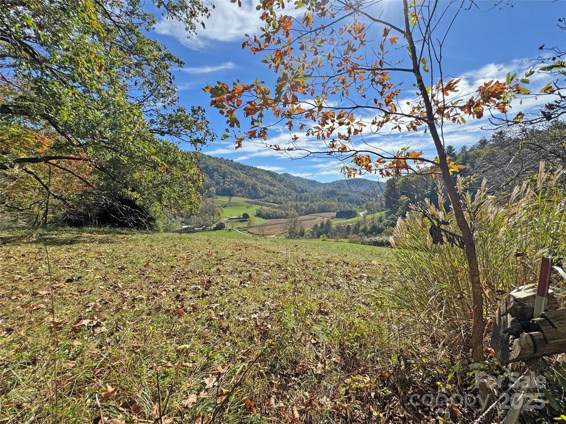 TBD Paint Fork Rd., Mars Hill, NC 28754