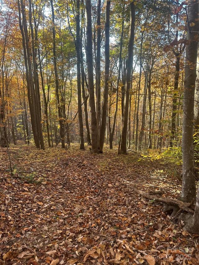 00 Black Oak Ridge Rd., Taylorsville, NC 28681