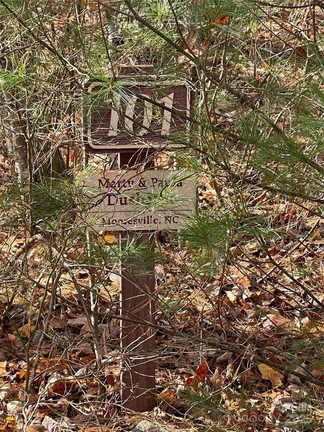 00 Pinnacle Falls Ln., Zirconia, NC 28790