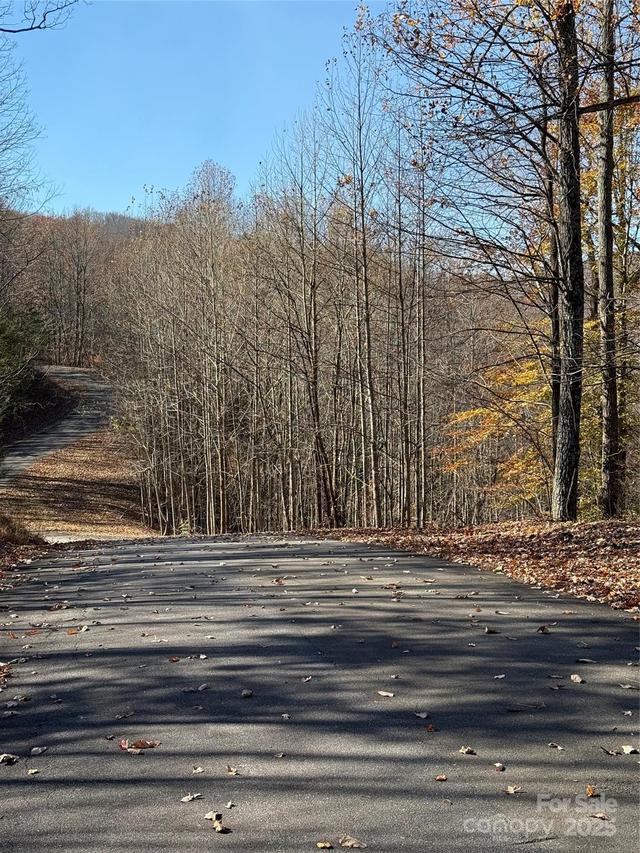 V/L Lot 72 & 170 Black Lark Dr., Marion, NC 28752