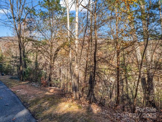 New Homes For Sale This Week That Attend Lake Lure Classical Academy: November 14th to November 20th