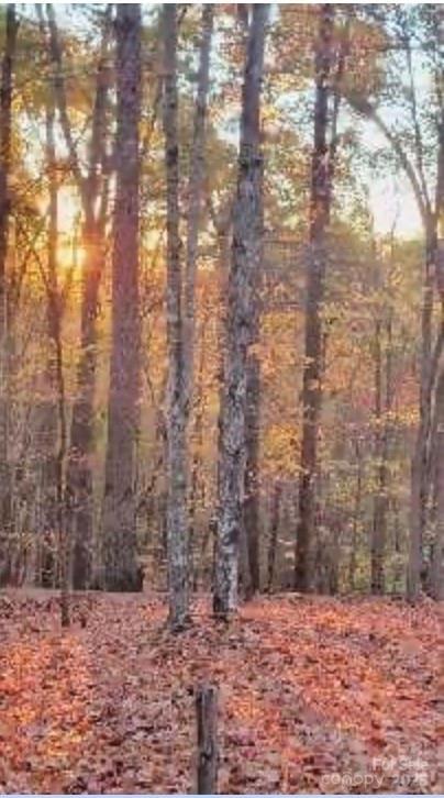 V/L Trellis Dr. #117, Marion, NC 28761