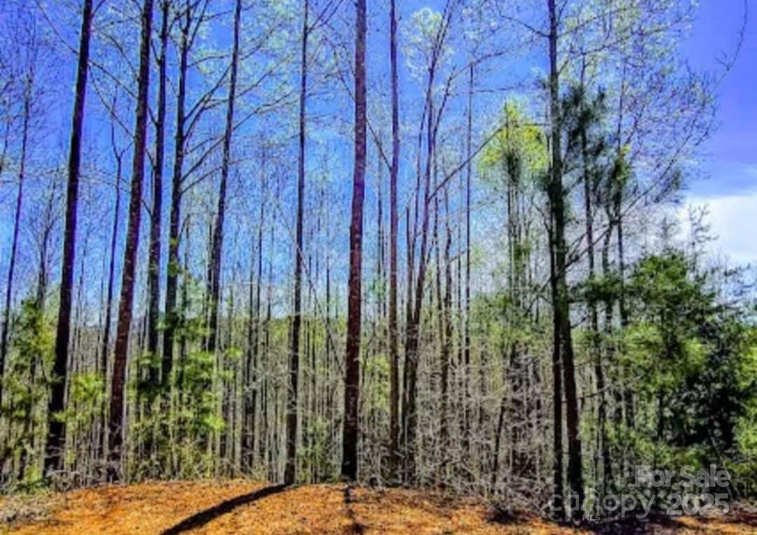 153 Westridge Dr., Bostic, NC 28018