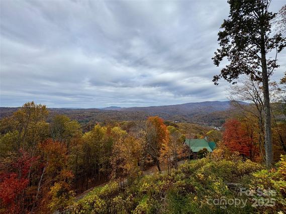 New Homes For Sale This Week in Elk Park: November 7th to November 13th