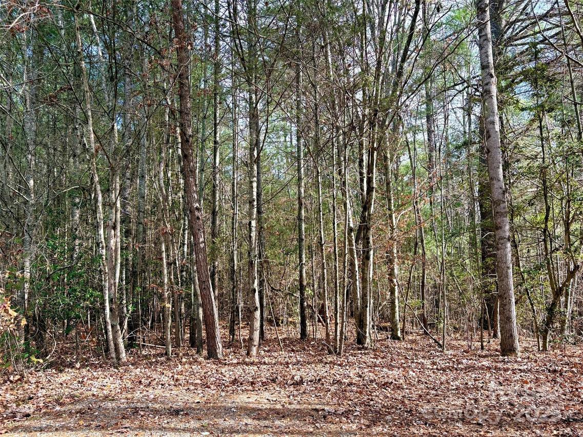 99999 Heather Ln., Fairview, NC 28730