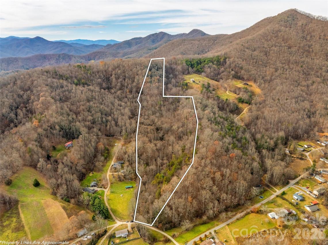 99999 Bay Horse Tr., Candler, NC 28715