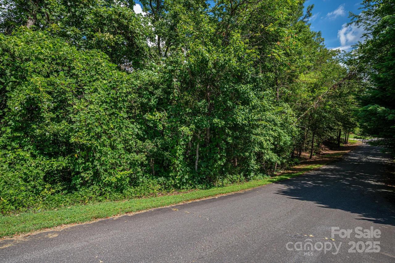 Lot 25 Line Dr., Forest City, NC 28043