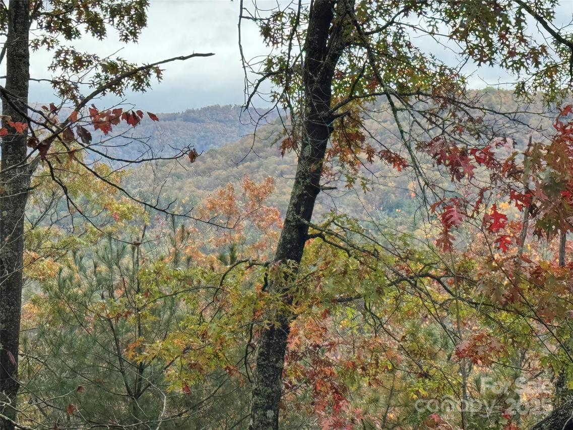 00 King Rd., Pisgah Forest, NC 28768