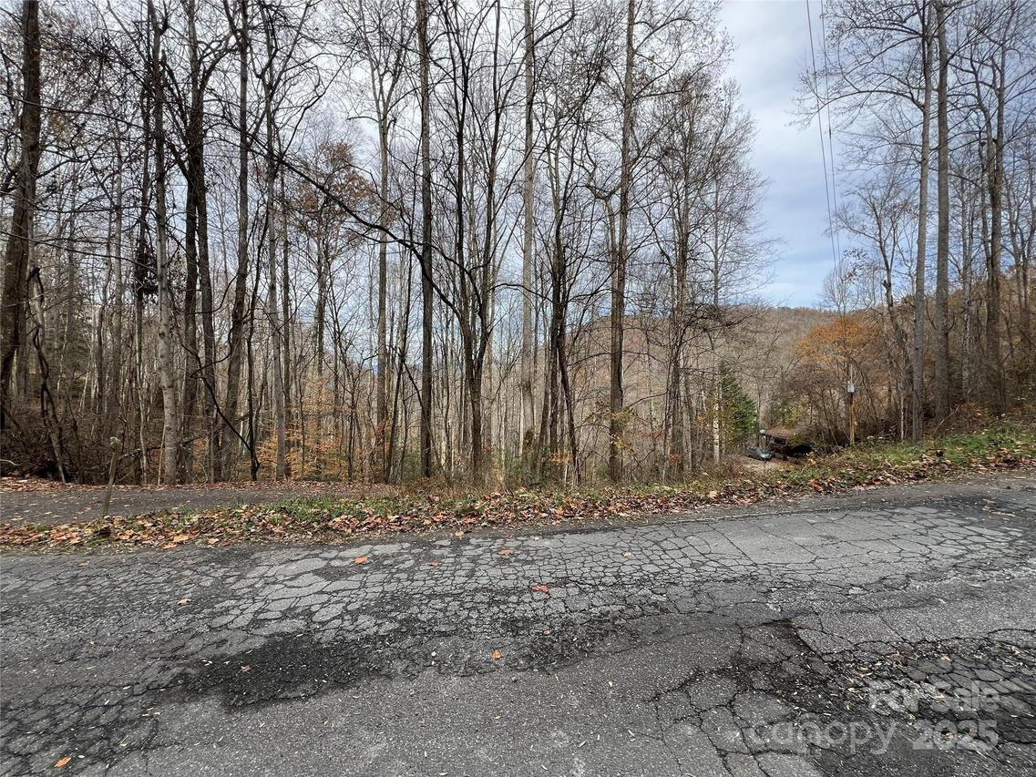 Lot 7 Deer Ridge Rd., Bryson City, NC 28713