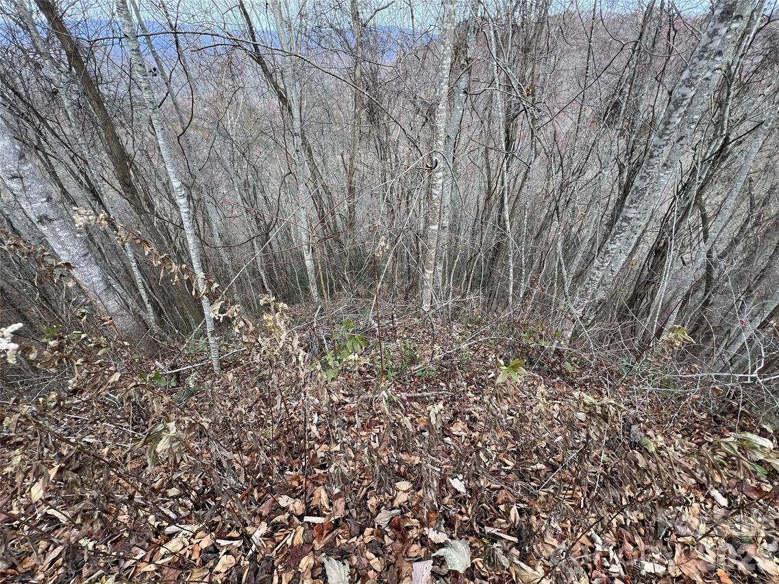 Lot 7 Deer Ridge Rd., Bryson City, NC 28713