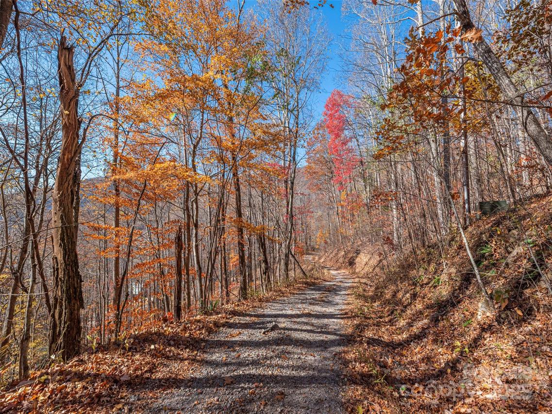 112 & 113 Grouse Rd., Clyde, NC 28721