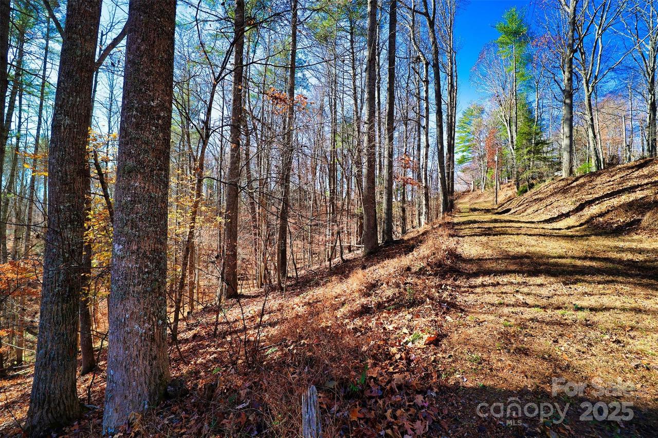 TBD Rockinghorse Tr. #Tract #1, Burnsville, NC 28714
