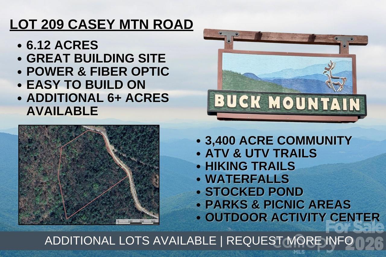 TBD Casey Mountain Rd. #209, Purlear, NC 28665