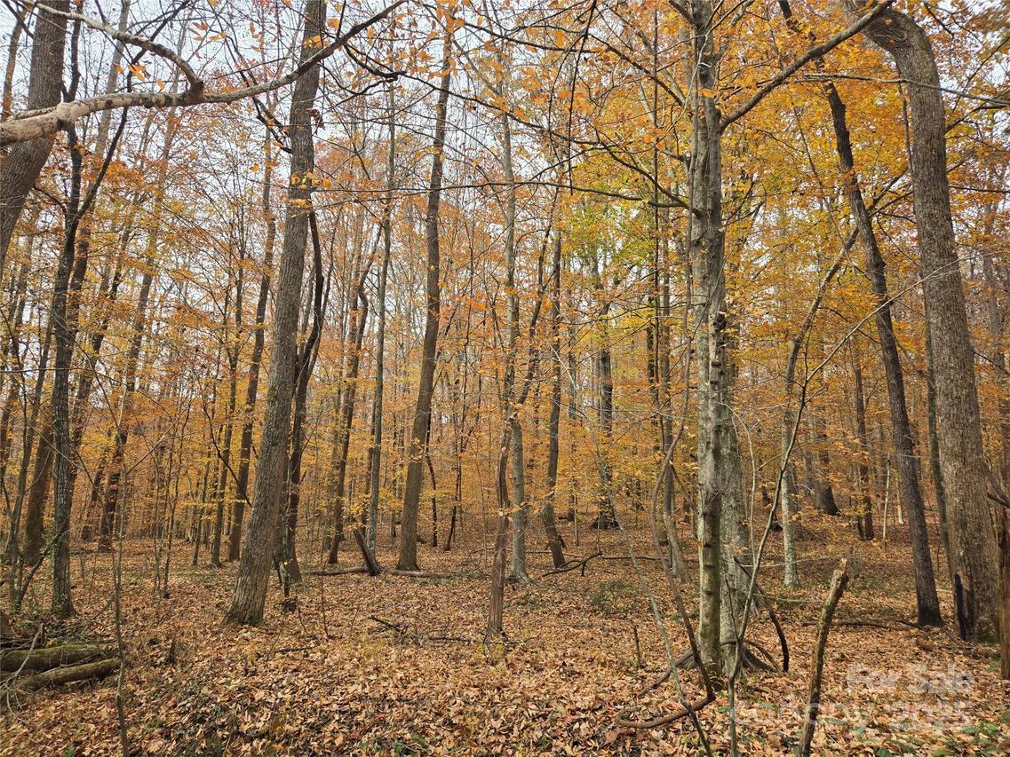 4901 & 4927 Montford Rd., Pfafftown, NC 27040