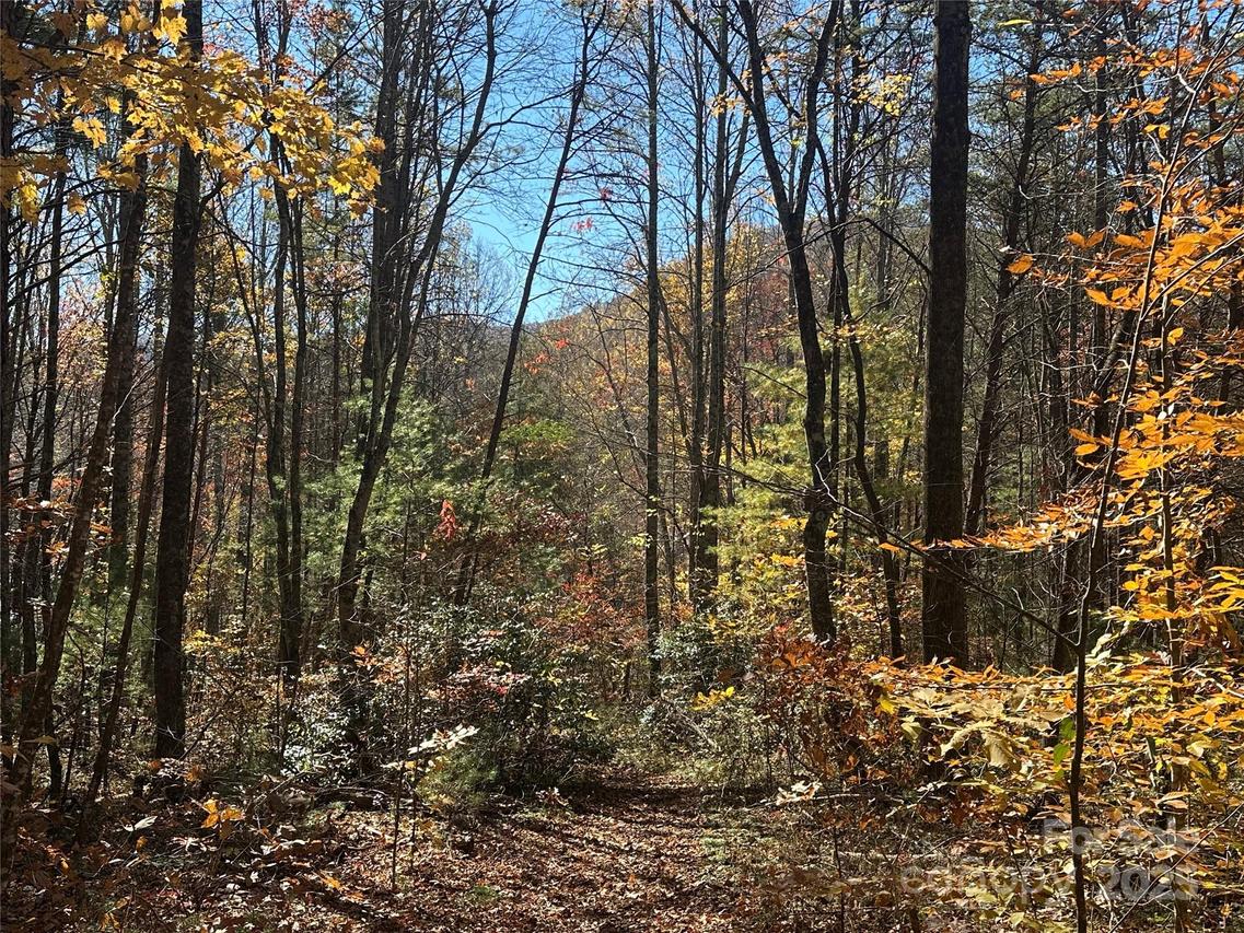 99999 Morgan Hill Rd. #3, Fairview, NC 28730