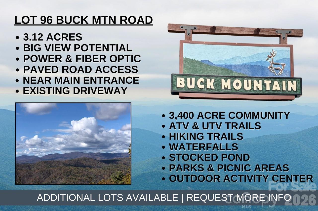 TBD Buck Mountain Rd. #96, Purlear, NC 28665