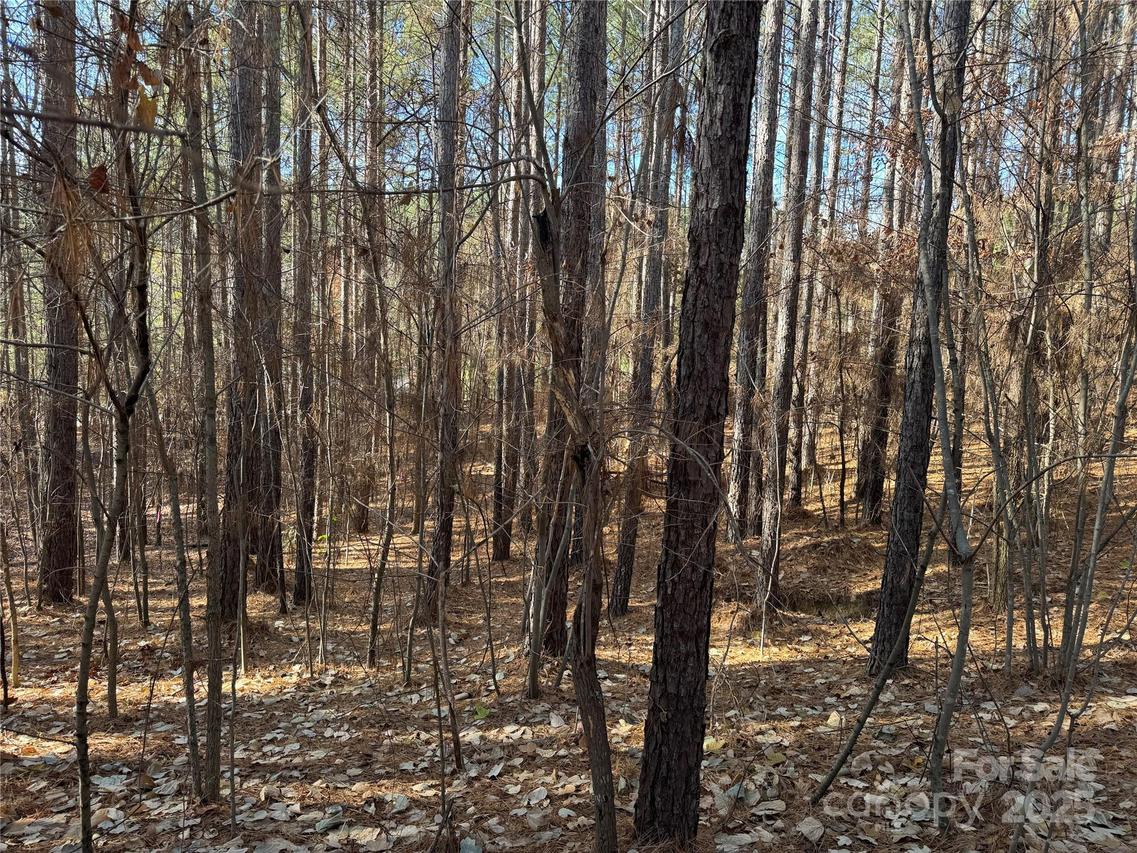 118 Cinder Ridge Ct., Troutman, NC 28166