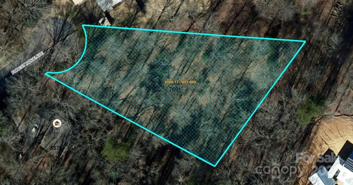 TBD Forest Ridge Ave. #5, Brevard, NC 28712