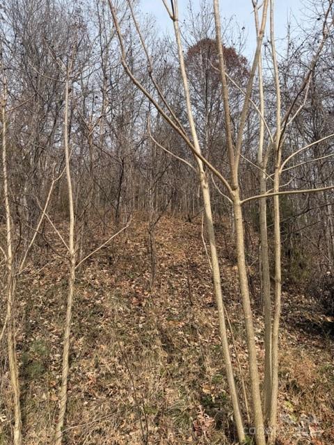 00 Yancey Rd., Marion, NC 28752