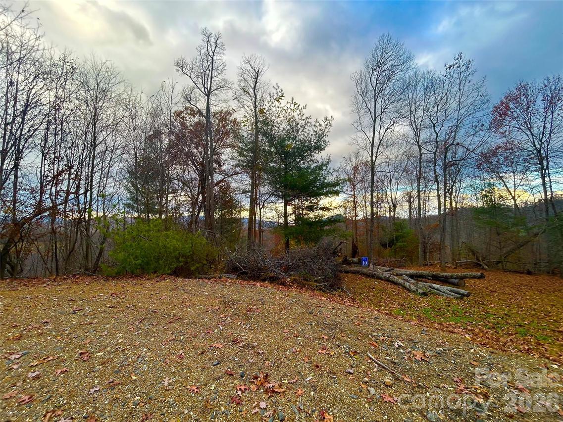 00000 High Peak Ridge #10, Green Mountain, NC 28740