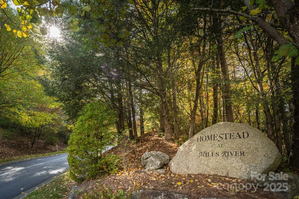 99999 Shining Rock Path, Horse Shoe, NC 28742
