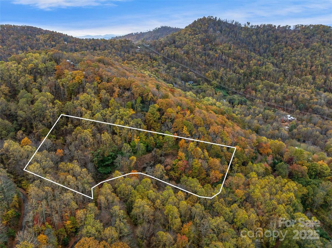 45 Flora Rose Tr., Asheville, NC 28803