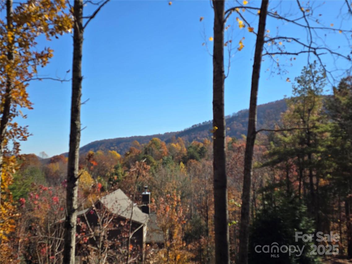 295 S Feather Falls Tr. #50, Black Mountain, NC 28711
