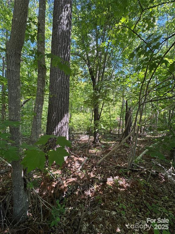 Creekwood Dr., Morganton, NC 28655