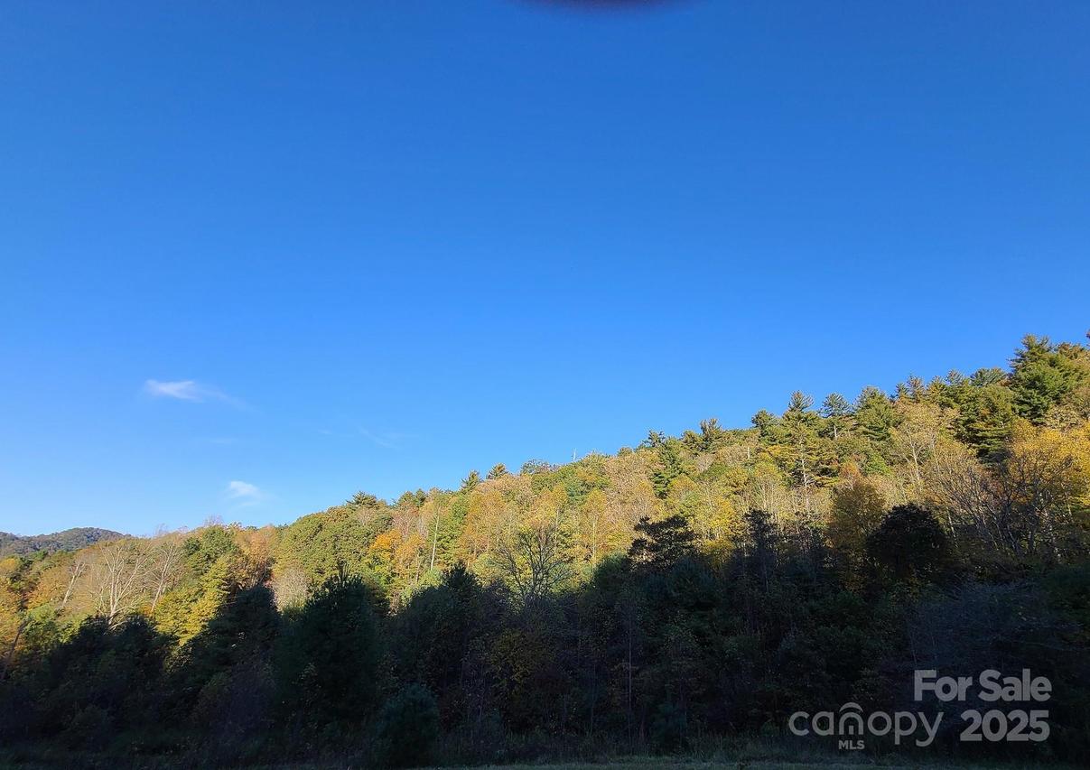 Tracts 2A & 2B Rabbit Skin Rd. #Tract 2A & 2B, Waynesville, NC 28785