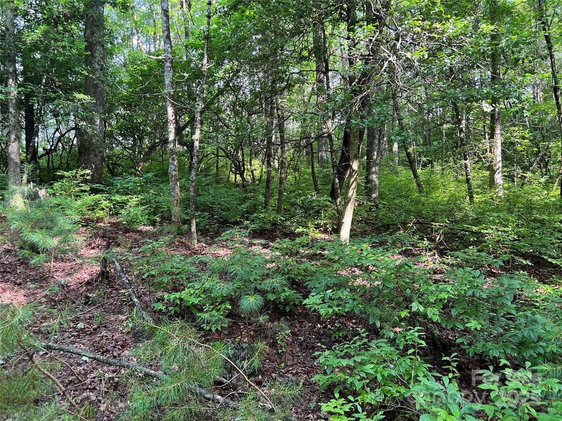 4082 Slick Fisher Rd., Lake Toxaway, NC 28747