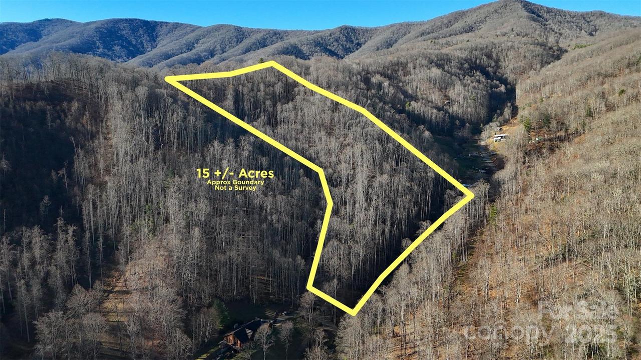 15 +/- Acres Riddle Branch Rd., Burnsville, NC 28714