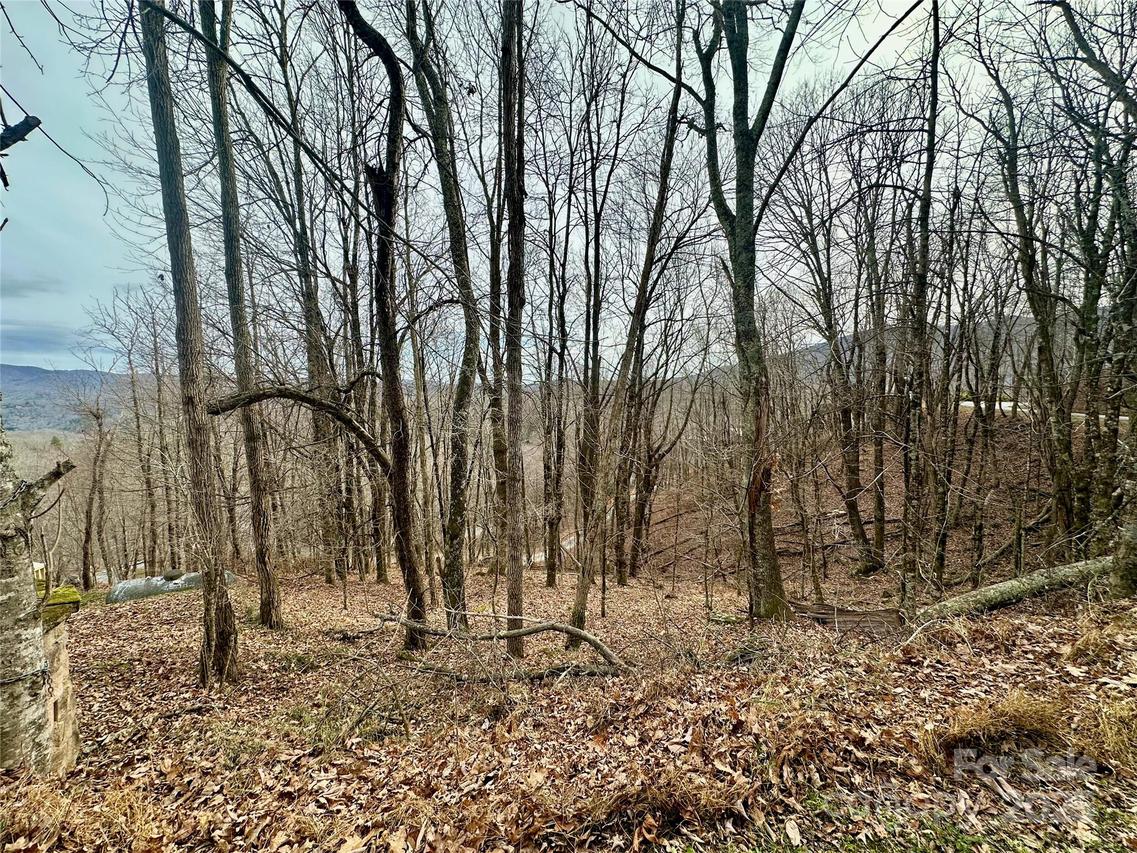 TBD Alpine Dr. #21-22, Seven Devils, NC 28604